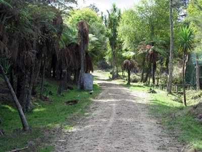 Tour Of Duty Paintball Bush Course