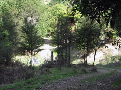 Tour Of Duty Paintball Bush Course