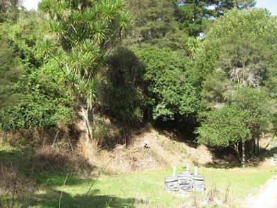 Tour Of Duty Paintball Bush Course