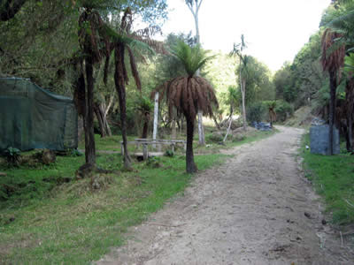 Tour Of Duty Paintball Bush Course