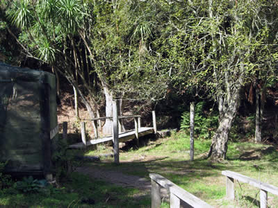 Tour Of Duty Paintball Bush Course