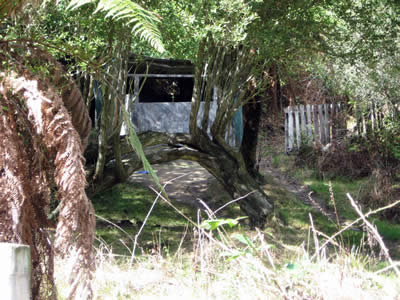 Tour Of Duty Paintball Bush Course