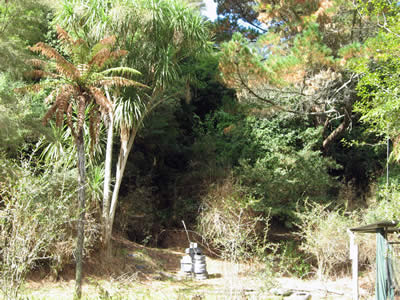 Tour Of Duty Paintball Bush Course