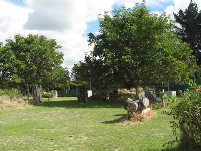 Tour Of Duty Paintball Speedball Course